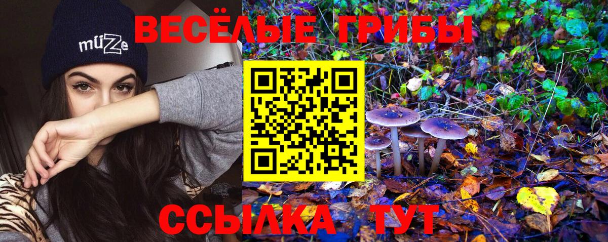 Псилоцибиновые грибы Magic Shrooms  Псилоцибиновые грибы GOLDEN TEACHER  Вход с VPN  Северобайкальск 