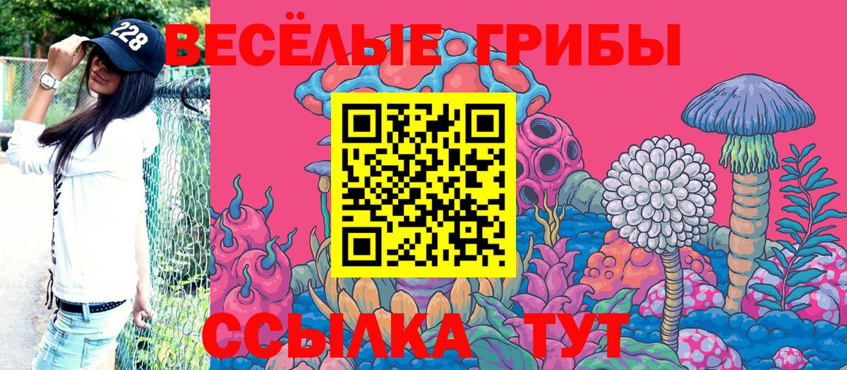 Псилоцибиновые грибы мицелий Северобайкальск